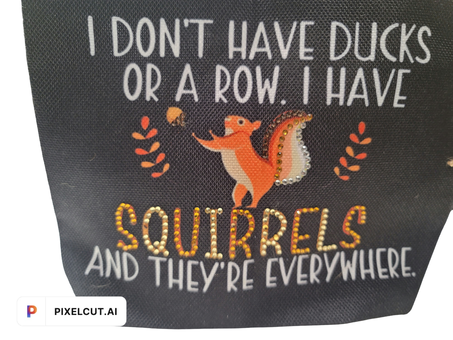 I Don't Have Ducks or a Row, I Have Squirrels and They're Everywhere!